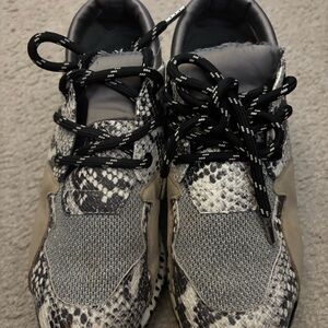 Steve Madden Snakeskin Cliff Sneaker